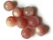 8 12mm 1/2 Inch Pink Ball Buttons Vintage Moonglow Lucite Round Buttons